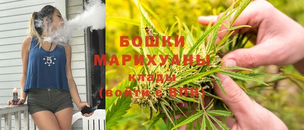 марки lsd Новозыбков
