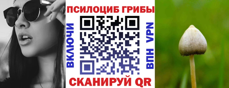 Галлюциногенные грибы Magic Shrooms  Купить закладки  Избербаш 